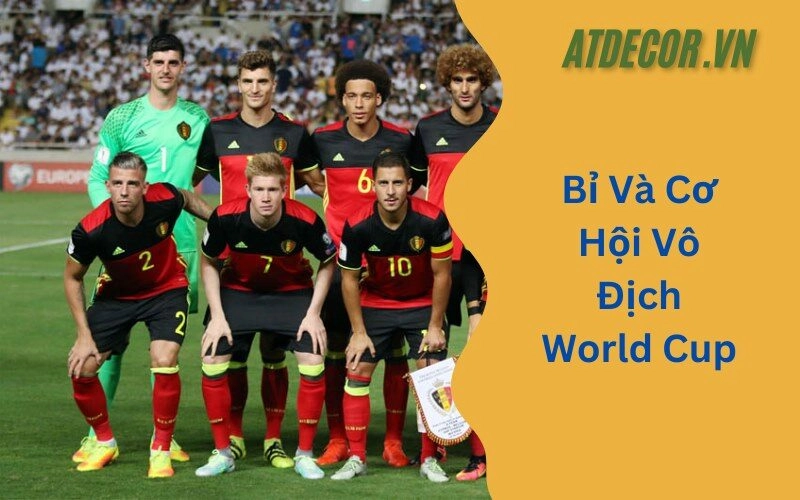 Bỉ Và Cơ Hội Vô Địch World Cup