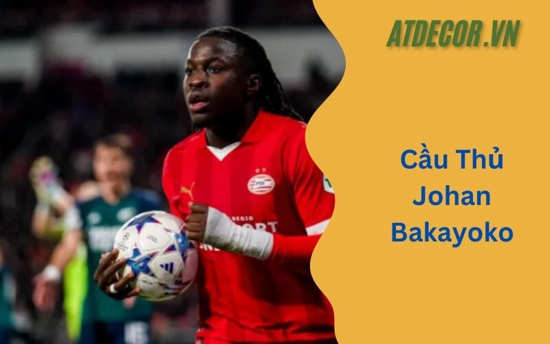 Cầu Thủ Johan Bakayoko