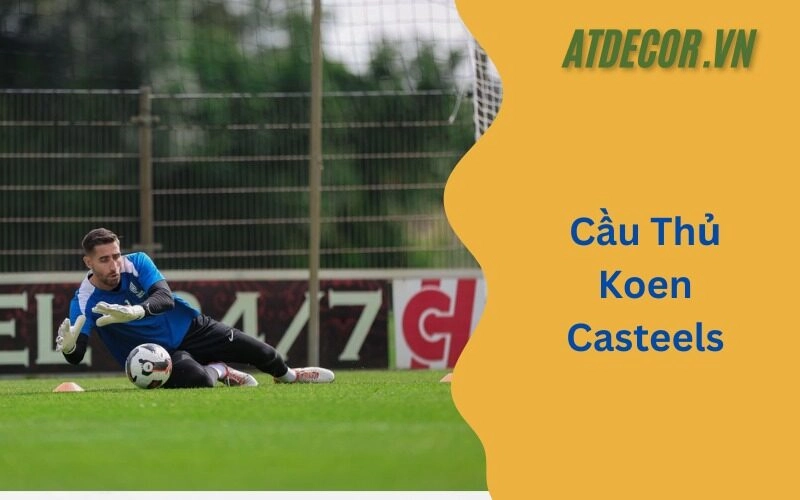 Cầu Thủ Koen Casteels
