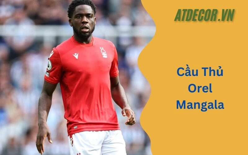 Cầu Thủ Orel Mangala