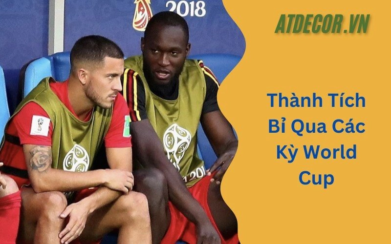 Thành Tích Bỉ Qua Các Kỳ World Cup